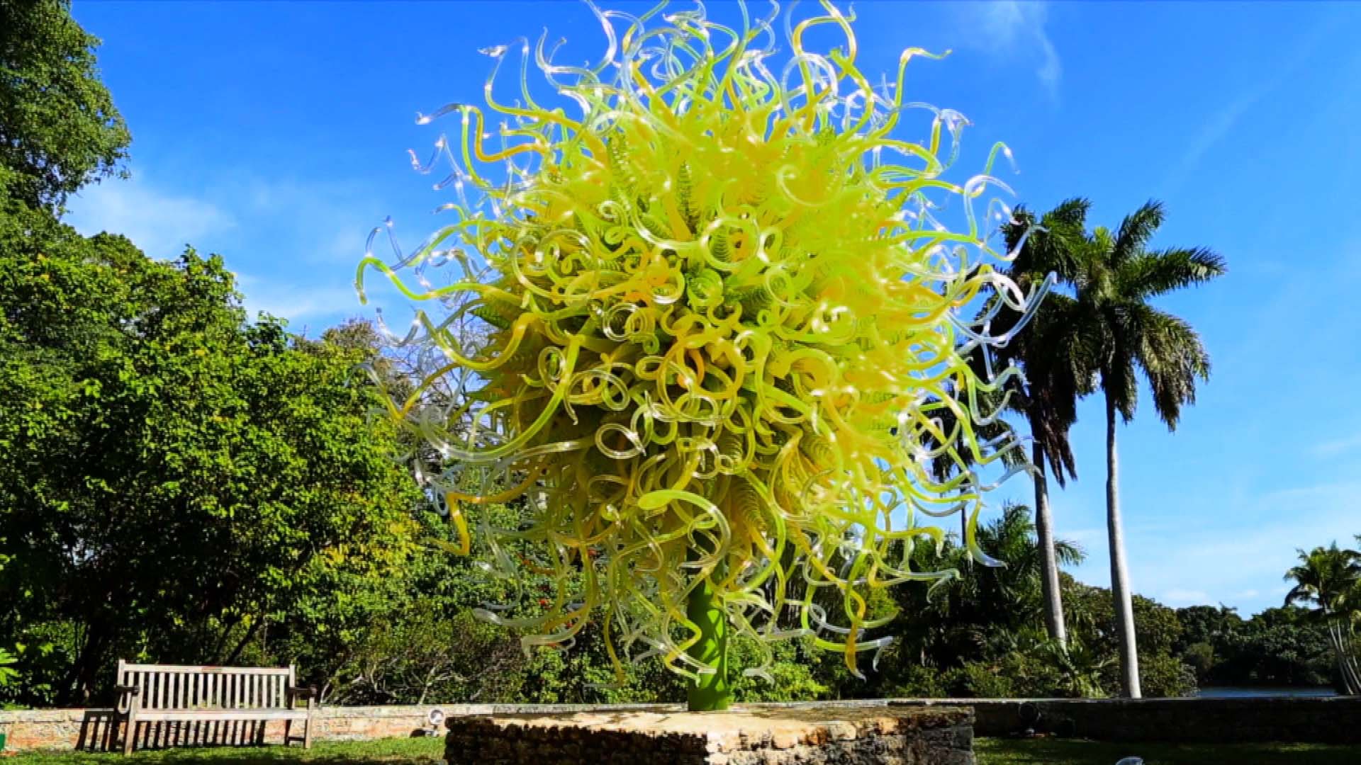 DALE CHIHULY