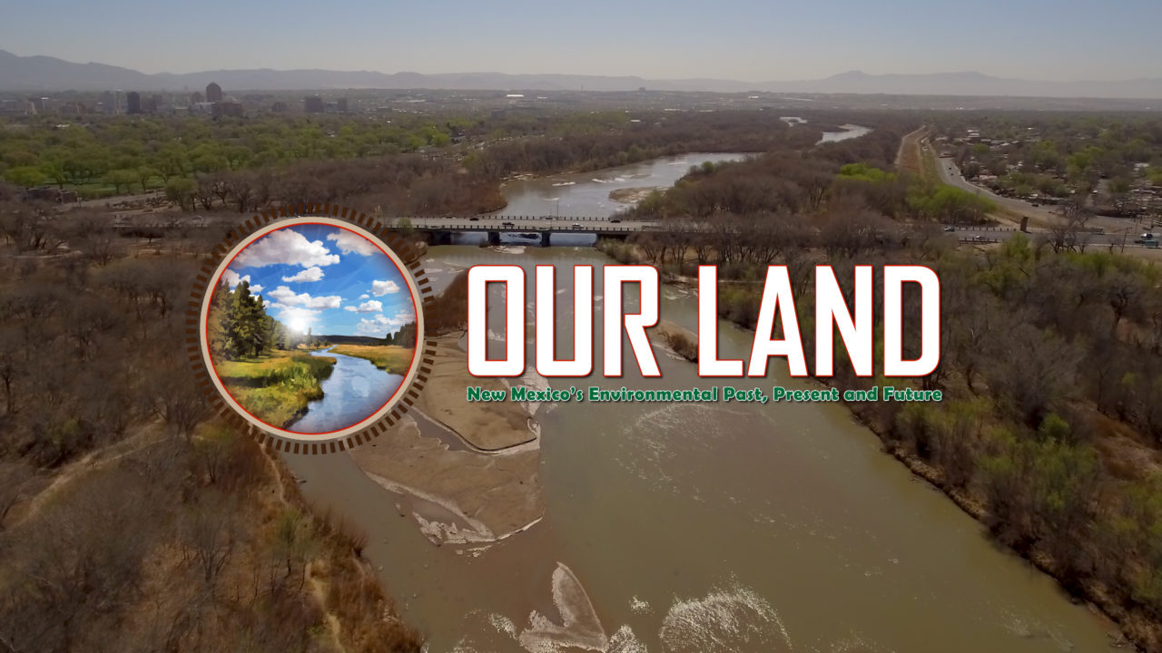 Our Land