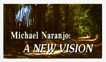Michael naranjo a new vision.