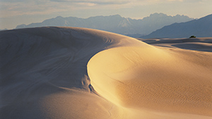 A sand dune in the desert.