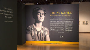 ¡COLORES! - Frida Kahlo