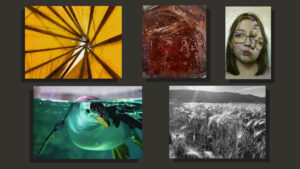 Five pieces of student art ranging from paintings to photographs