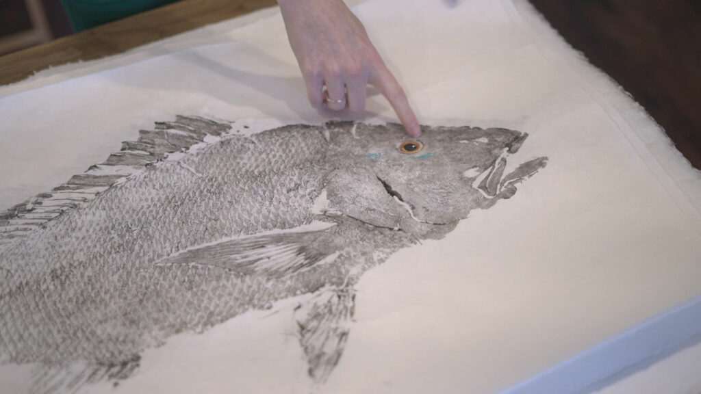 A person pointing at the eye of a drawing of a fish.