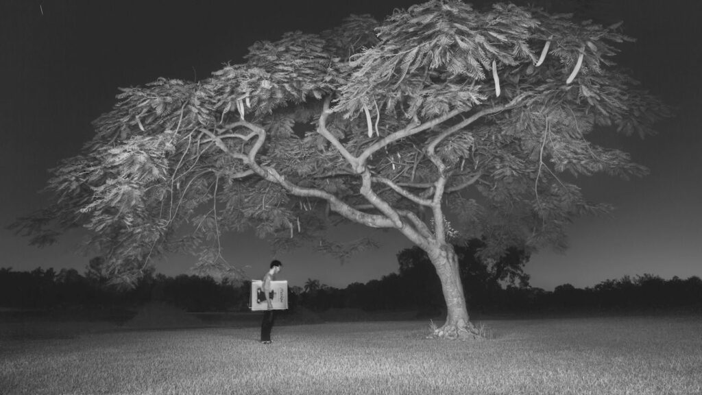 A black and white photo of a person standing under a tree.