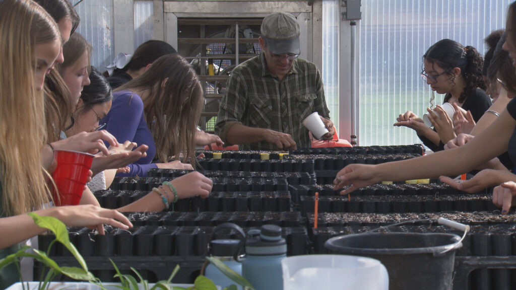A group of students and an instructor plant seedlings in trays inside a greenhouse.