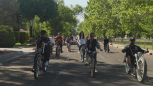 A group of people ride bicycles down a tree-lined street on a sunny day.