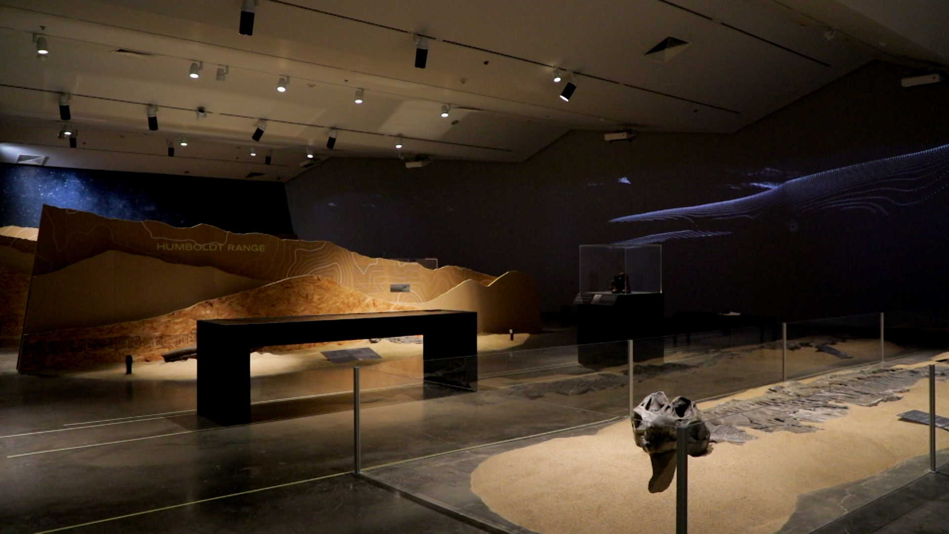 Exhibit hall with a large sand model display labeled "Humboldt Range," a table, spotlights, and a whale skeleton fossil in the foreground.