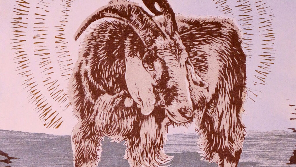 Illustration of a long-haired goat with curved horns standing on a textured surface, surrounded by radiating lines in the background.