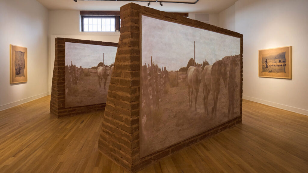 Two large, freestanding brick walls display paintings of cows in a gallery with wooden floors and framed artwork on the surrounding walls.