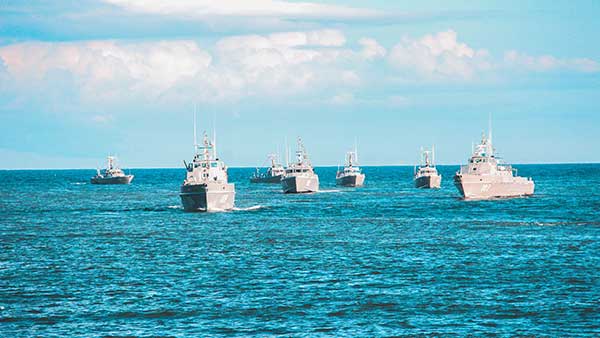Navy Navy