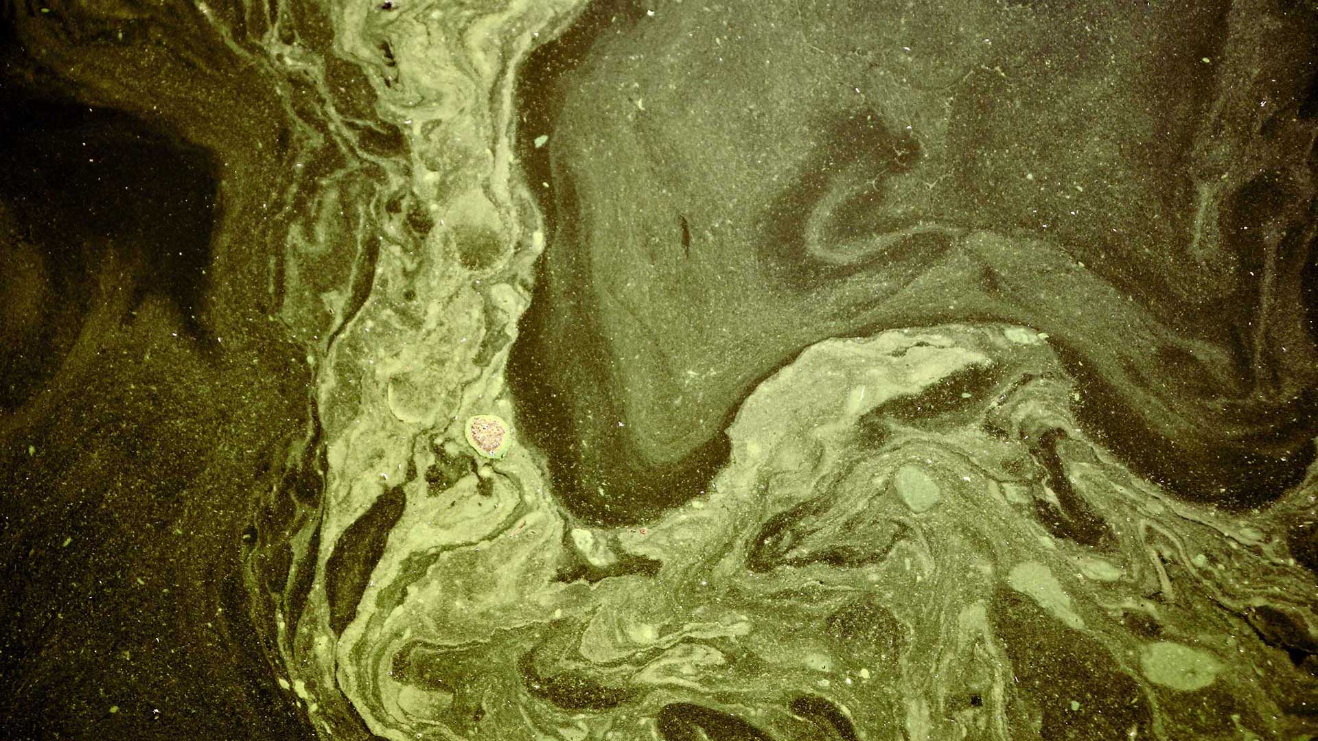 dirty-water-background dirty-water