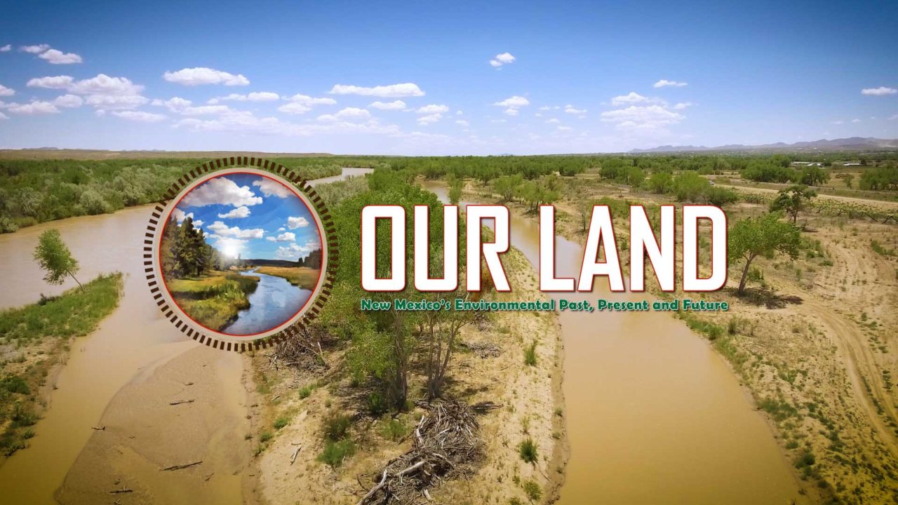 Our Land