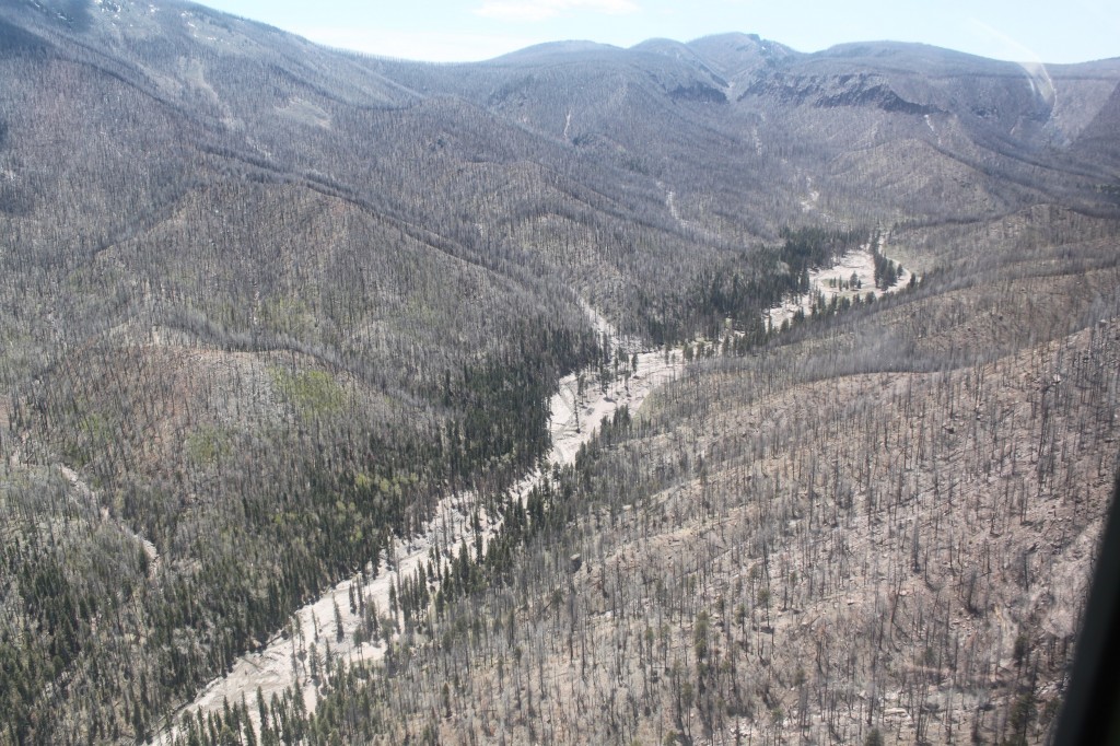 An aerial view of a burned area.