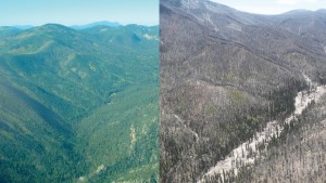 An aerial view of a mountain and a burned area.