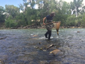 A man fishing in a river with a net.