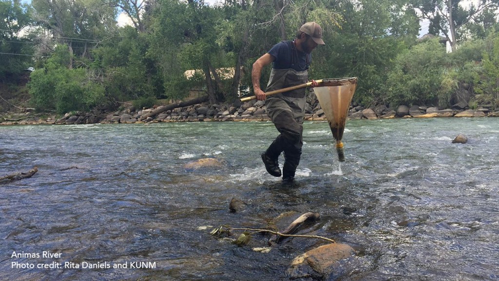 A man holding a net in a river.