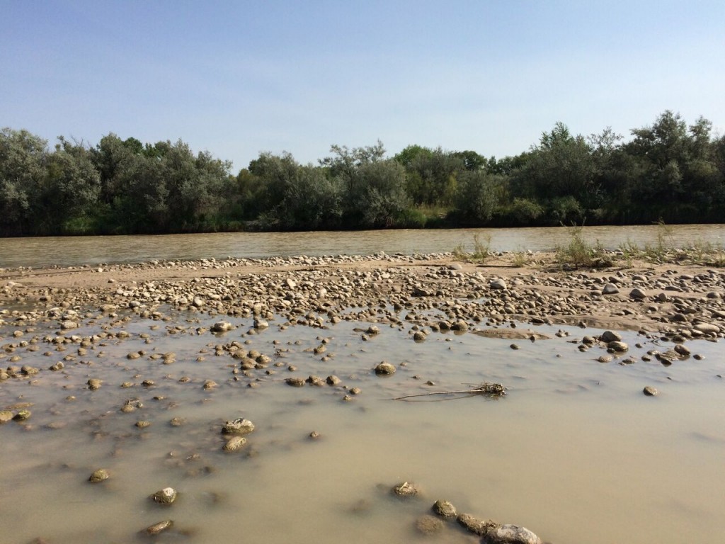 A muddy river with a lot of rocks in it.