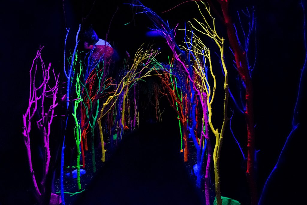 A dark tunnel with colorful lights and trees.