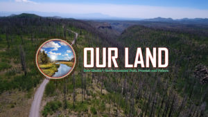 NMiF: Our Land