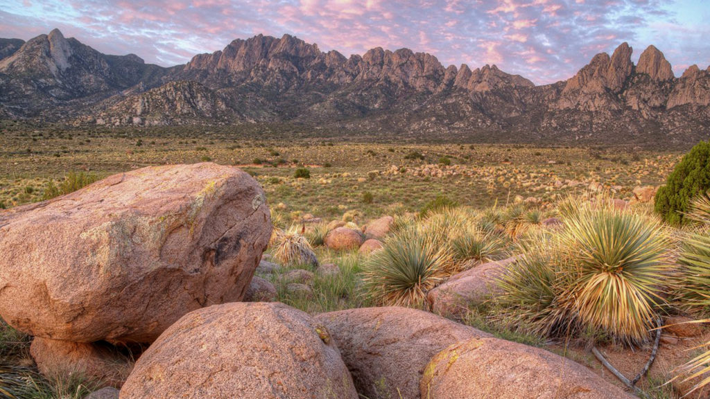 NMiF: The Line Panel - national monuments