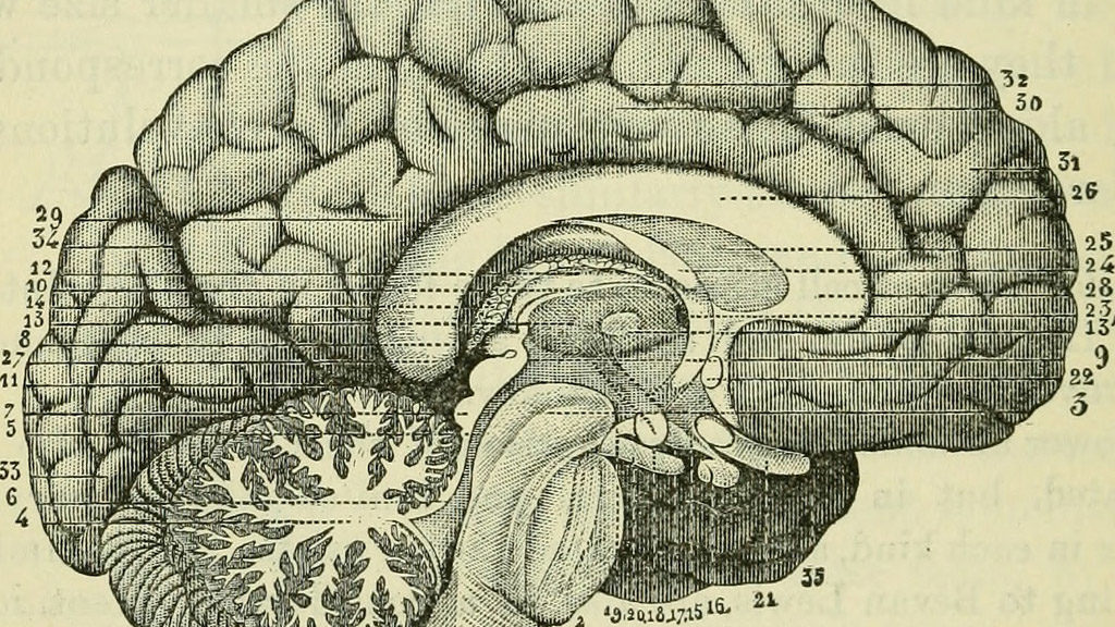 NMiF: mental illness