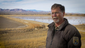 Bosque del Apache