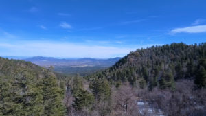 A view of a forest with trees and a blue sky.