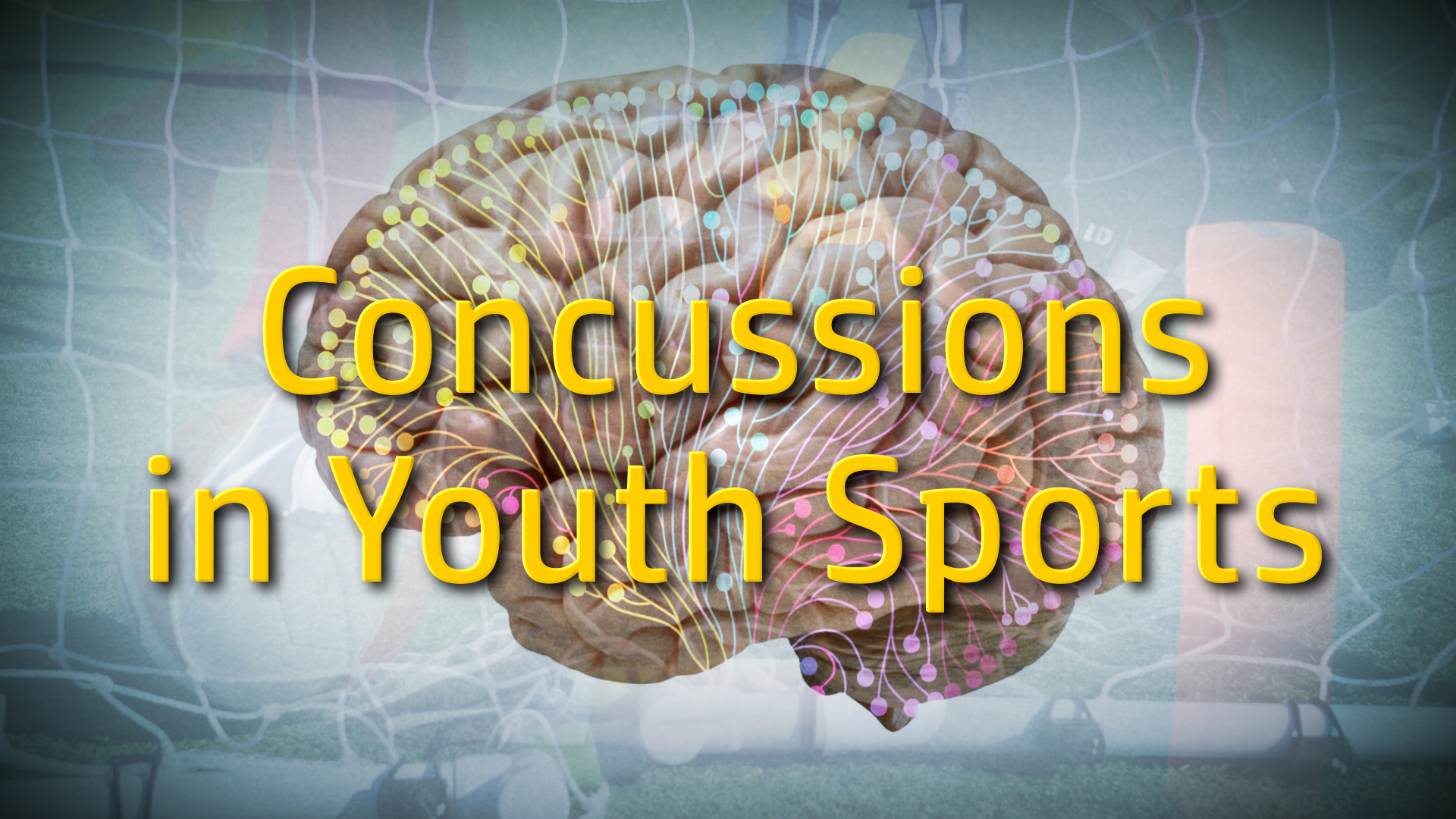 Addressing Concussions In Youth Sports - New Mexico In Focus