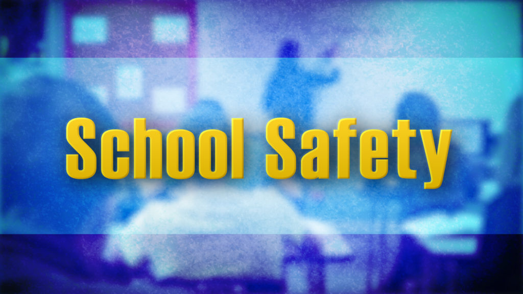 A blue and purple background with the words school safety.