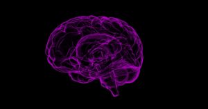 A purple brain is shown on a black background.