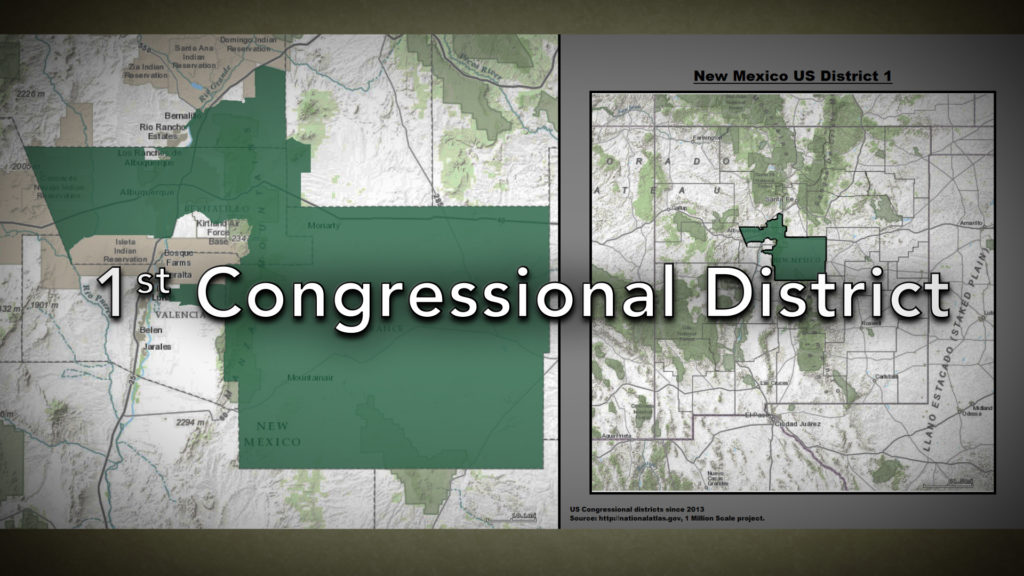 First Congressional District