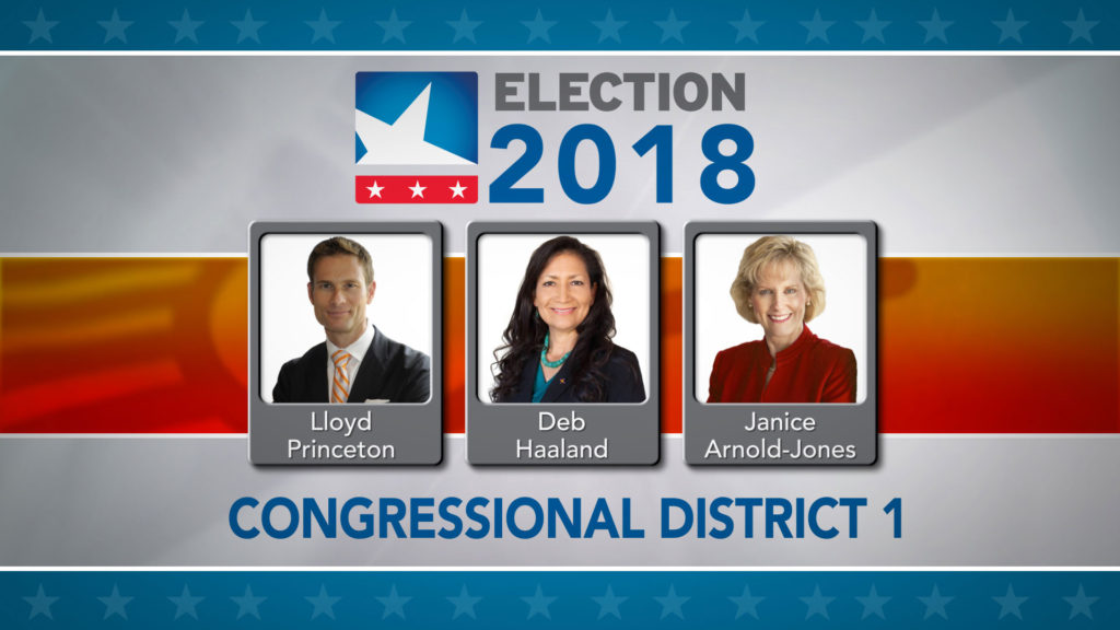 Election 2018 CD1