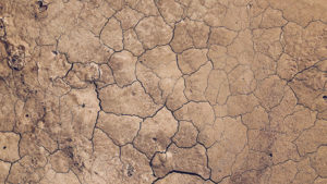 1222 Line Climate Change Report