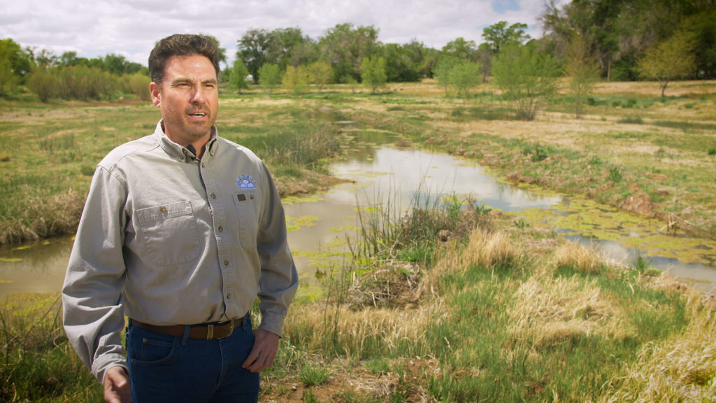 Our Land Urban Flood Control