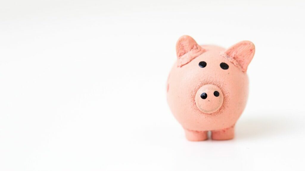 A piggy bank in front of a white backdrop.