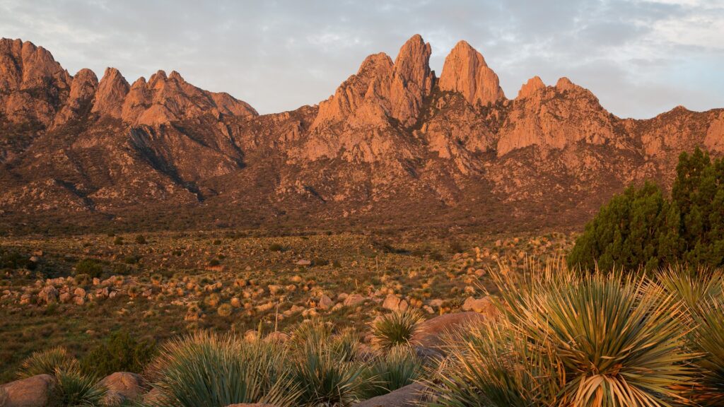 A sharp-pointed mountain range at sunset.