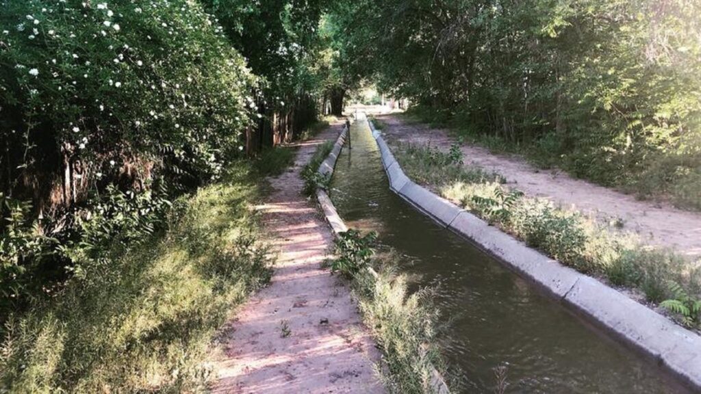 Two pathways flanked by trees and bushes.