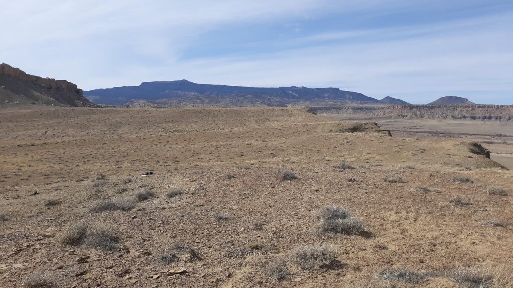 Barren desert land, with mountains in the distance.