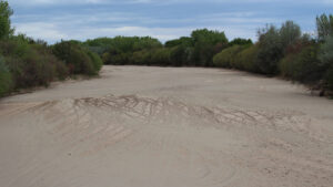 A dried-up area meant for water, flanked by bushes.