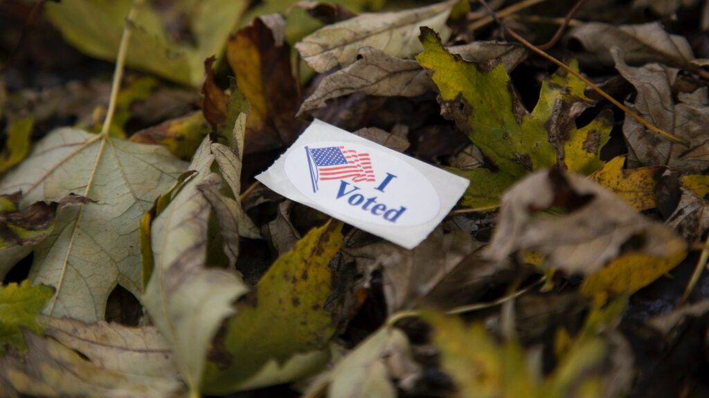 An "I Voted" sticker lying on top of a pile of leaves.