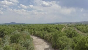 A dried-up Rio Grande flanked by trees.