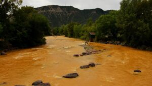 A gold-tinted river flows.