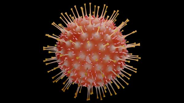 CG illustration of a coronavirus.