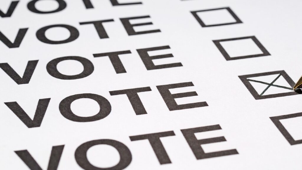 The word "VOTE" accompanied by a checkmark, copied over and over down a page.