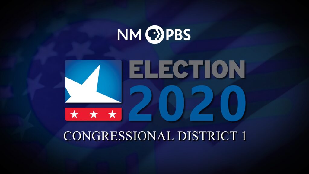 Election 2020: Congressional District 1