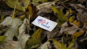 An "I Voted" sticker lay on top of leaves.