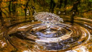 A small splash in a body of water.