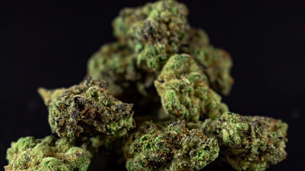 Close-up of several cannabis colas.