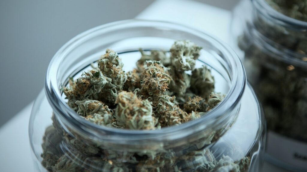 Close-up of cannabis colas in a glass jar.