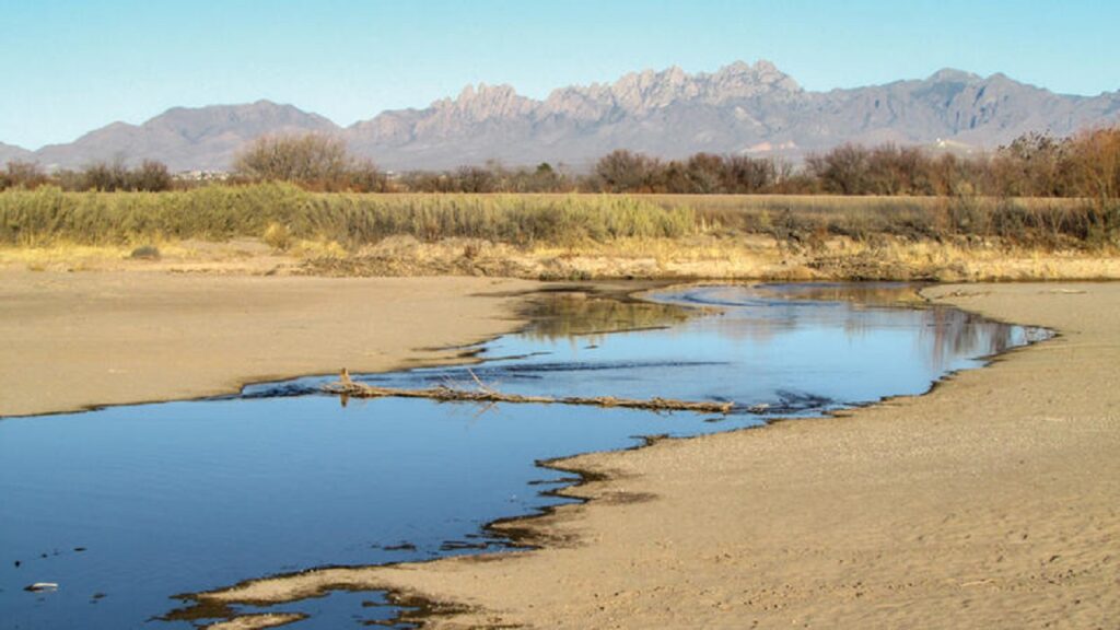 A dried-up body of water, flanked by sand and weeds.